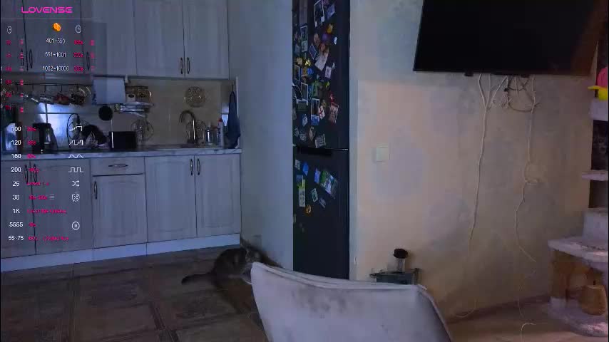 darlina_ryan Adult Chat March 5, 2026