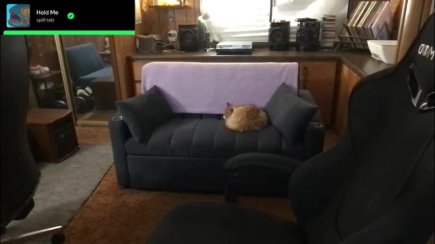 incognitoqueen Adult Chat March 6, 2026