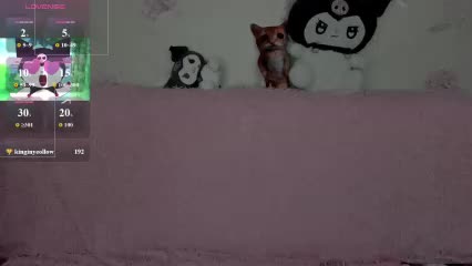 toriayun0 Adult Chat March 6, 2026