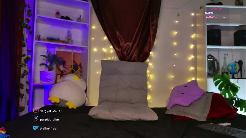 stellart_ Adult Chat March 6, 2026