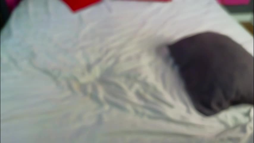 wandabutler Adult Chat March 6, 2026