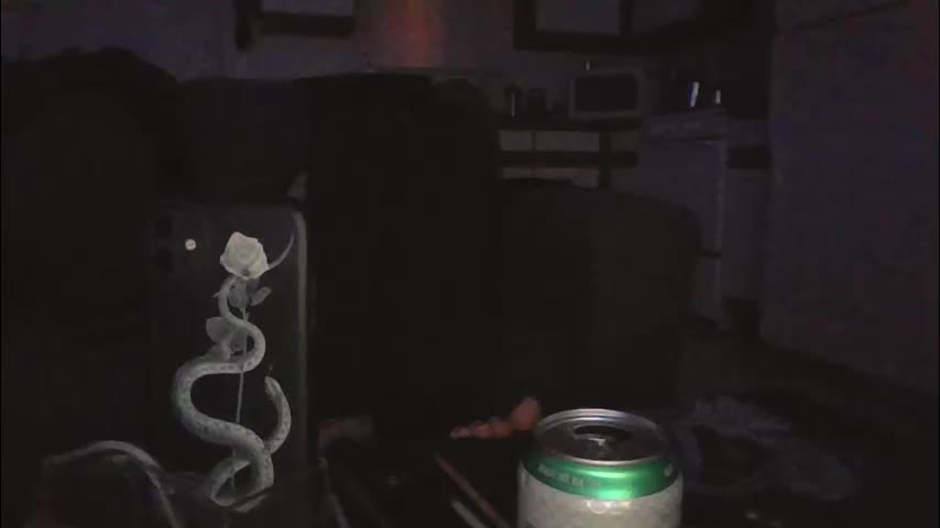 livmirage Adult Chat March 6, 2026