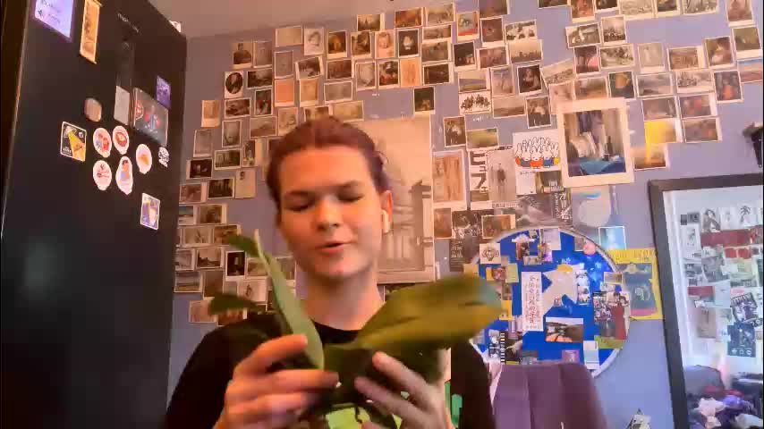 mayecorlee Adult Chat March 6, 2026