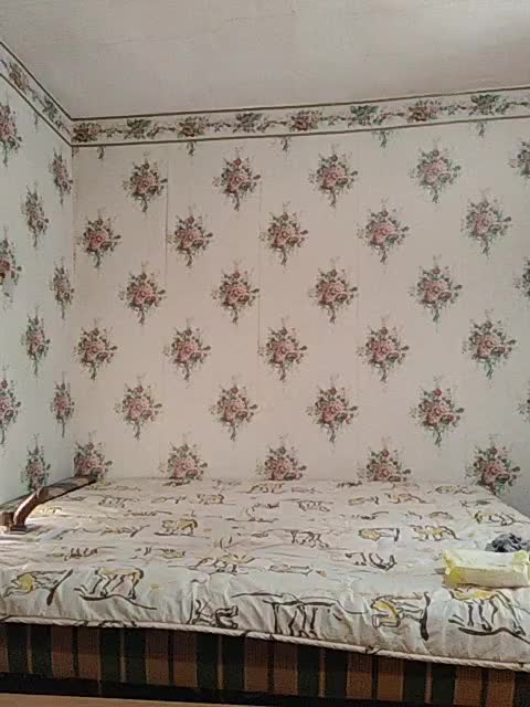 Alisa-33 Adult Chat March 7, 2026