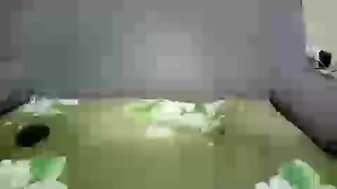 Arsinoe Adult Chat March 7, 2026