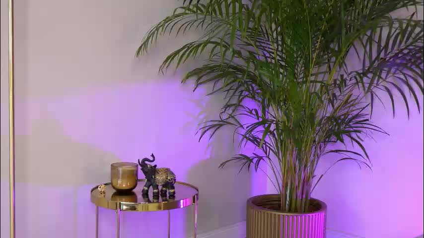 tinydoll_xo Adult Chat March 7, 2026