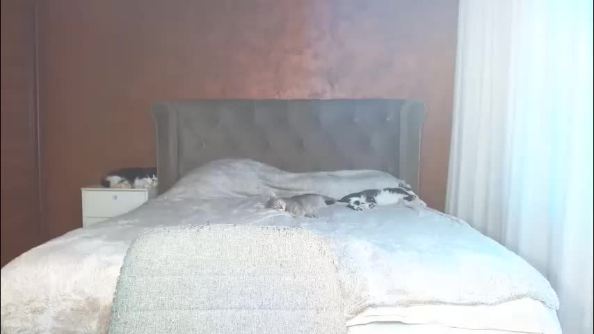 mishakiss34 Adult Chat March 7, 2026