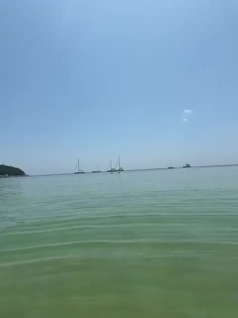 Tvoyasamka77 Adult Chat March 8, 2026