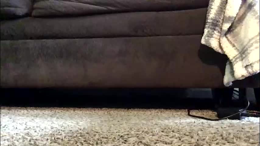 thickmadame28 Adult Chat March 8, 2026