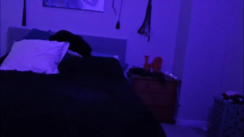 sexkittenfordaddy Adult Chat March 8, 2026