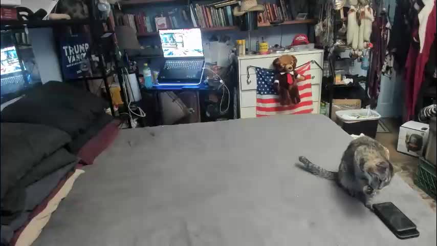 pink_black Adult Chat March 8, 2026