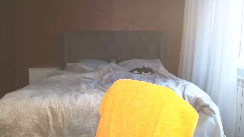 mishakiss34 Adult Chat March 8, 2026