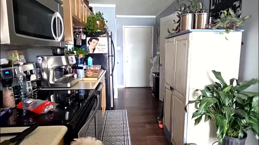 cheekymonkie Adult Chat March 8, 2026