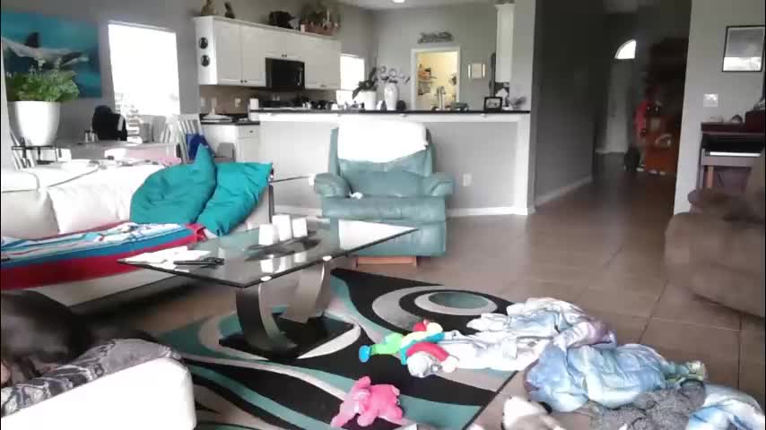 smallpenisbigtongue Adult Chat March 8, 2026