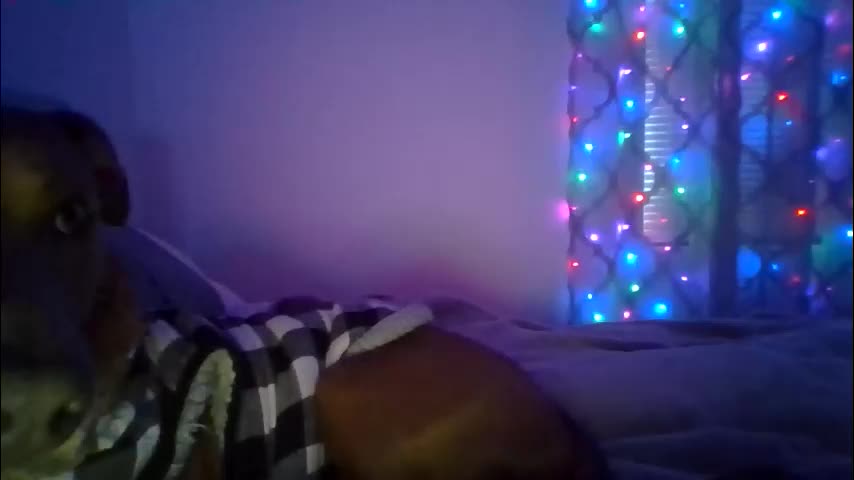 queenbee6269 Adult Chat March 9, 2026