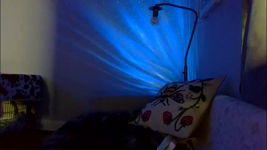 queenbee6269 Adult Chat March 9, 2026