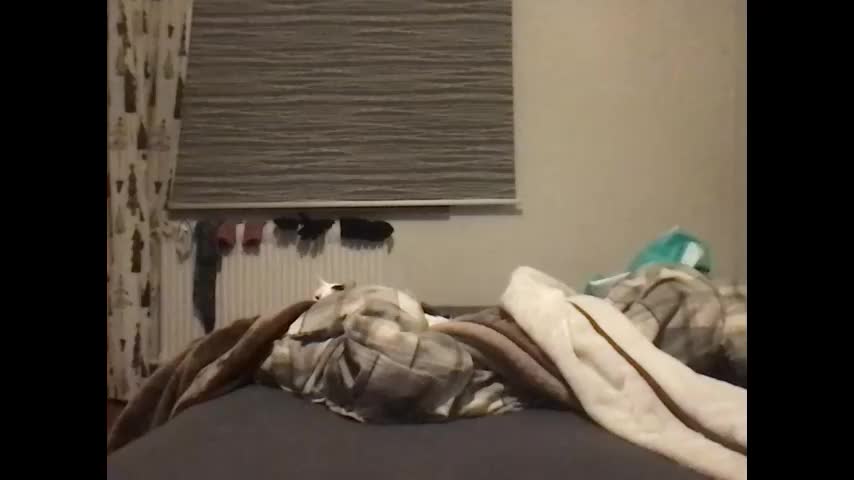 redfoxofficial Adult Chat March 9, 2026