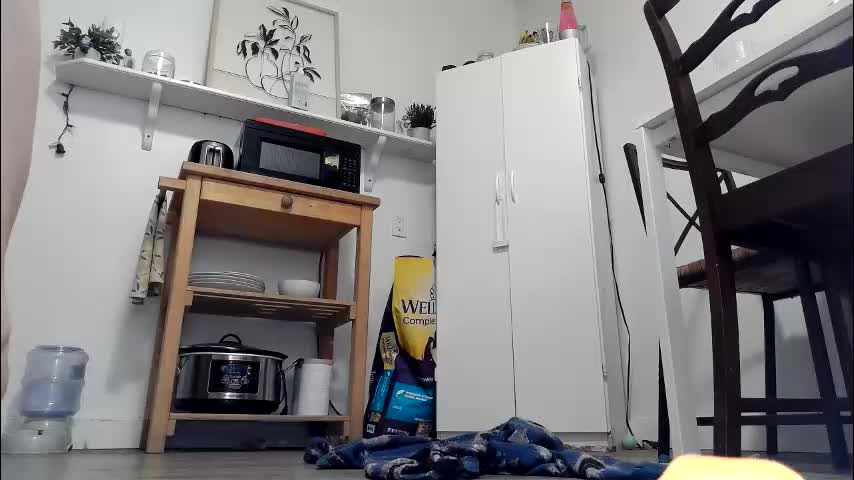 kittyymaze Adult Chat March 9, 2026