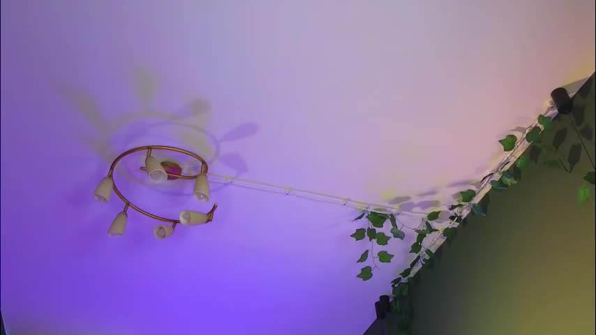 evelin_wow Adult Chat March 9, 2026