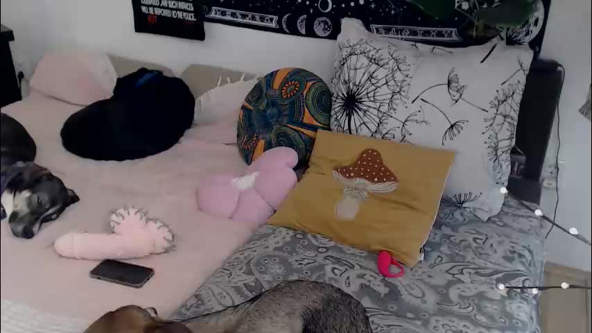 aliens4twenty Adult Chat March 10, 2026