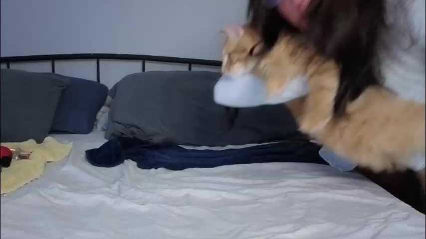 kaygraciee Adult Chat March 9, 2026