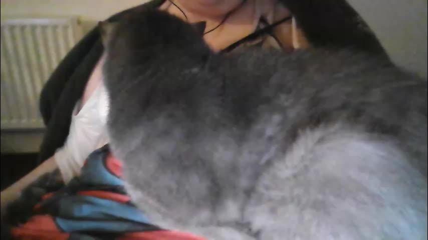 queen_o_swords Adult Chat March 9, 2026