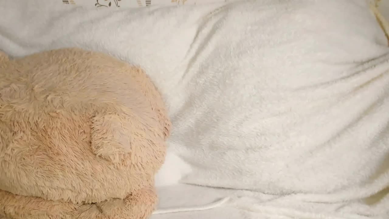 MelMooon Adult Chat March 10, 2026