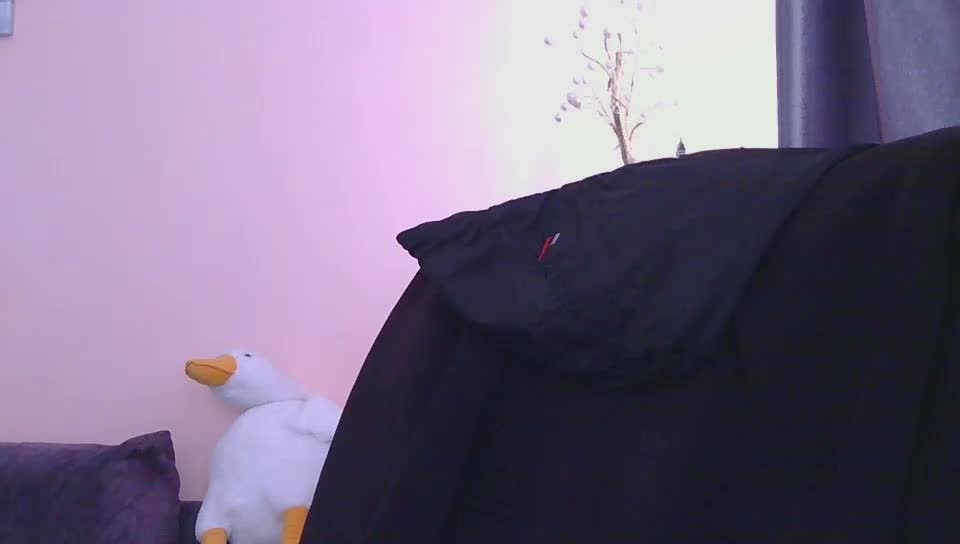 Ornotores_wers Adult Chat March 10, 2026