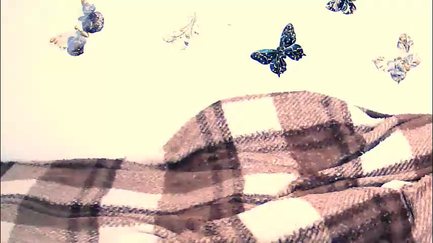 aniadiamond Adult Chat March 10, 2026