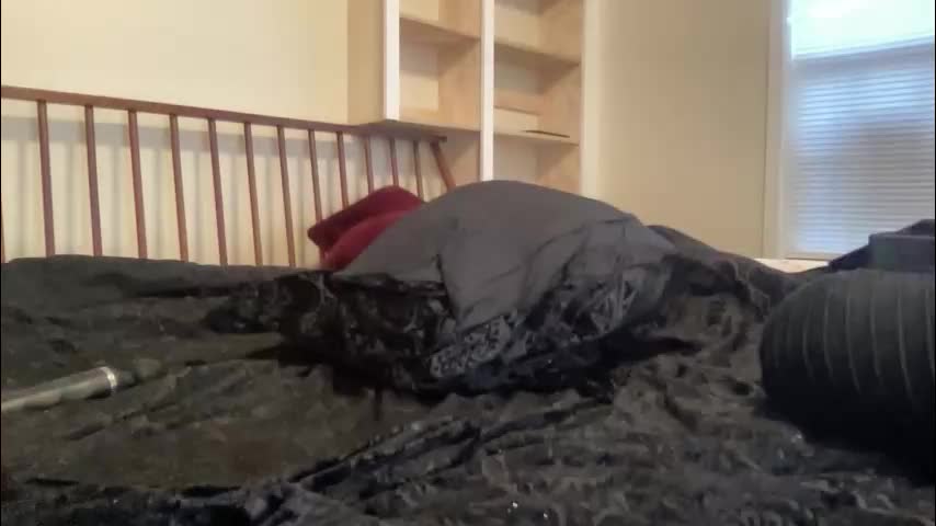 slopjob666 Adult Chat March 10, 2026