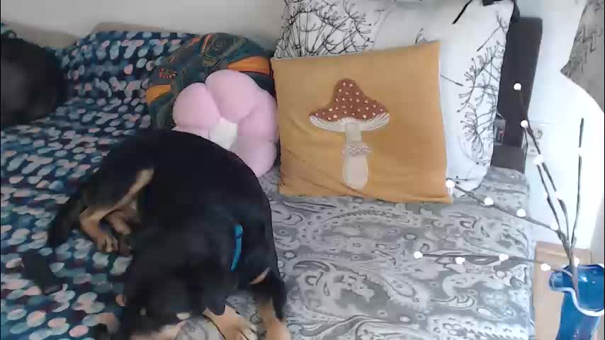 aliens4twenty Adult Chat March 10, 2026