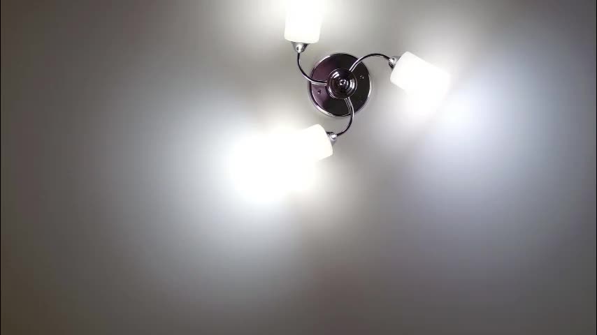 red_fox777 Adult Chat March 11, 2026