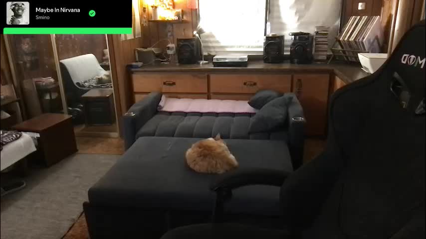 incognitoqueen Adult Chat March 10, 2026