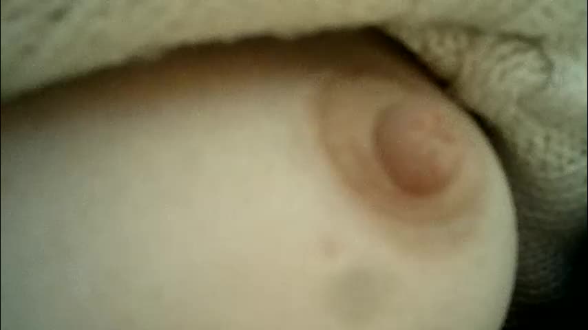 cremina Adult Chat March 10, 2026