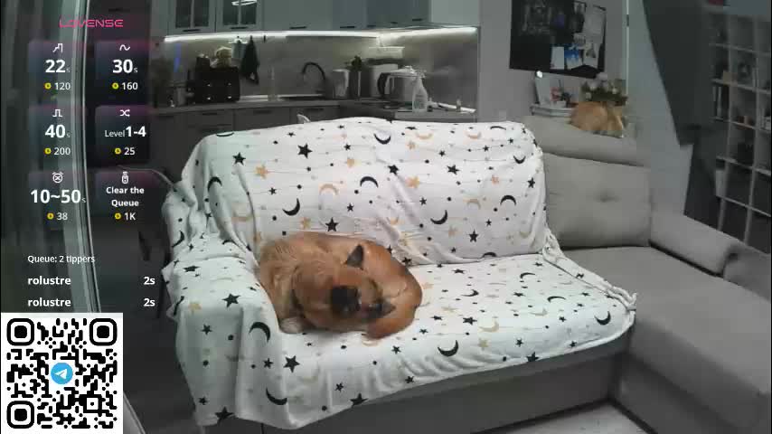 porrrno_pony Adult Chat March 10, 2026