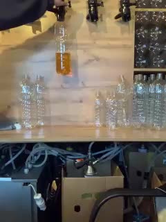 Yummypopka Adult Chat March 10, 2026