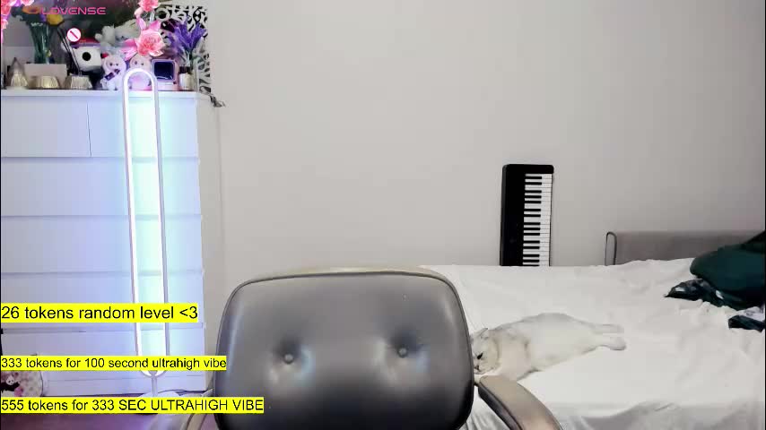 raaaaaaawr Adult Chat March 11, 2026