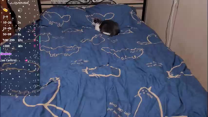 eva_zero Adult Chat March 11, 2026