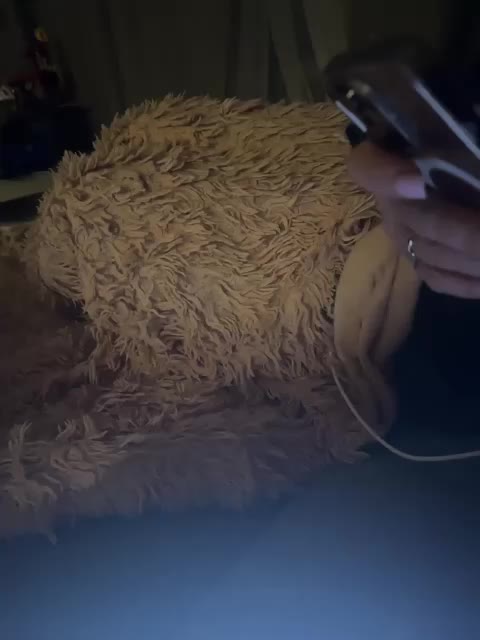 ParraTigroff Adult Chat March 11, 2026