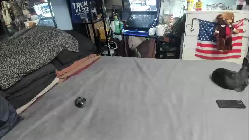 pink_black Adult Chat March 11, 2026