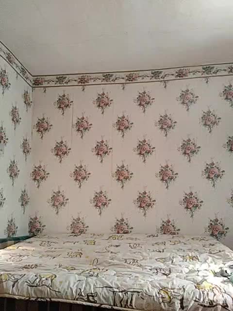 Alisa-33 Adult Chat March 11, 2026