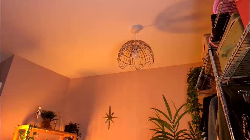 vixenp Adult Chat March 11, 2026