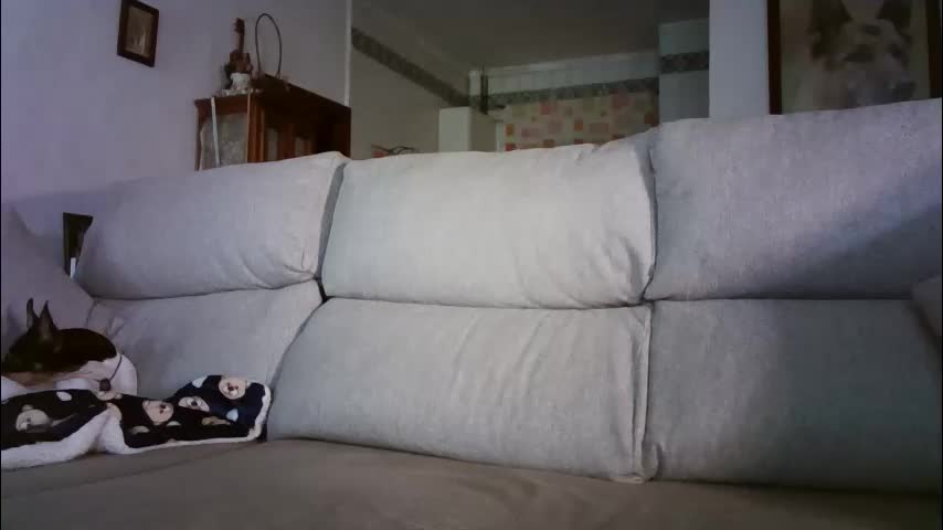 lolahueso Adult Chat March 12, 2026