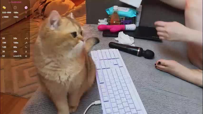 neli_elinek Adult Chat March 12, 2026