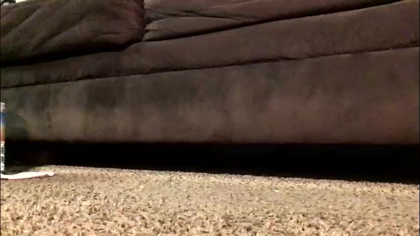 thickmadame28 Adult Chat March 12, 2026