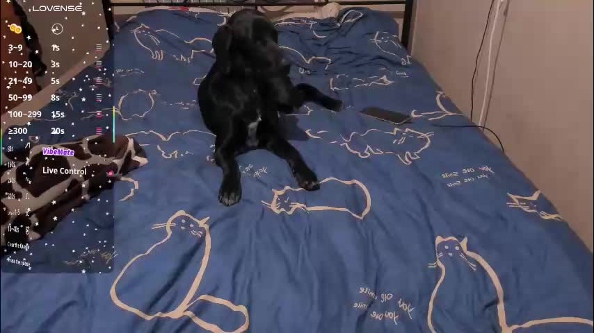 eva_zero Adult Chat March 12, 2026