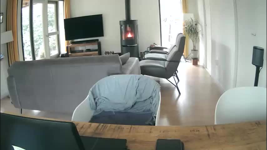 woodwurm Adult Chat March 13, 2026