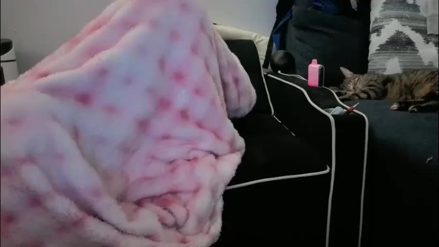 kittykat_1999 Adult Chat March 12, 2026