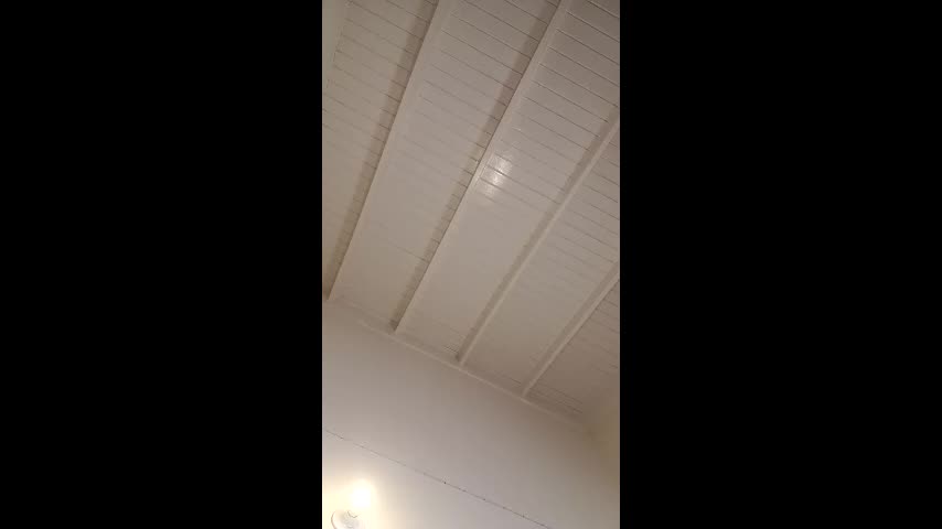 bustyirie Adult Chat March 13, 2026