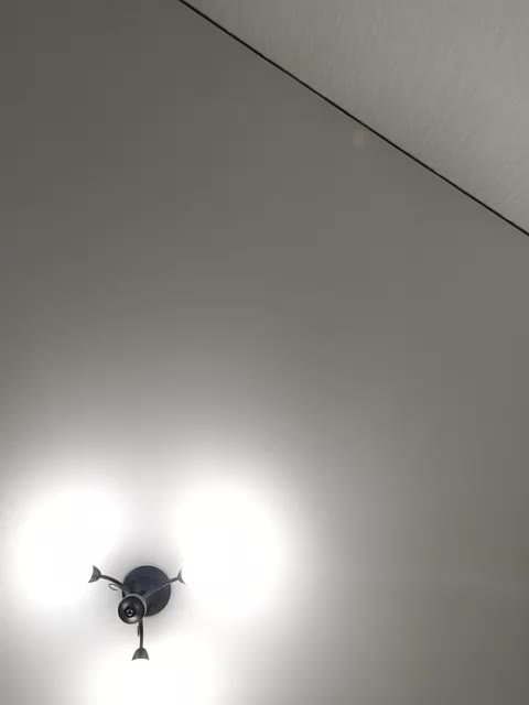 LillyJosepha Adult Chat March 13, 2026